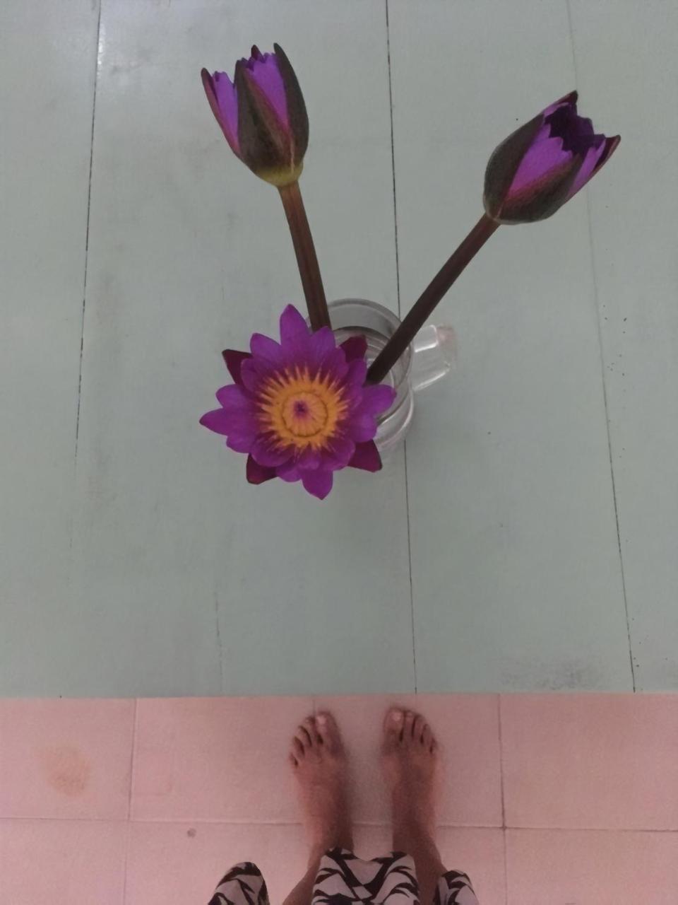Layback Boutique Surf & Yoga Camp Sri Lanka Hostel Weligama Luaran gambar