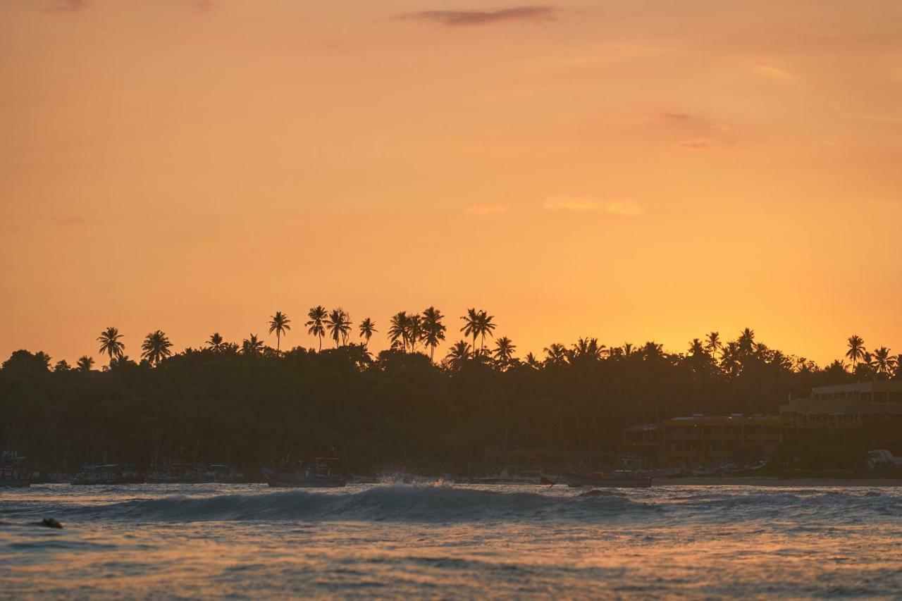 Layback Boutique Surf & Yoga Camp Sri Lanka Hostel Weligama Luaran gambar